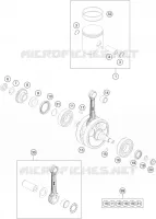 VILEBREQUIN / PISTON