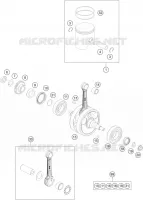 VILEBREQUIN / PISTON