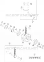 VILEBREQUIN / PISTON