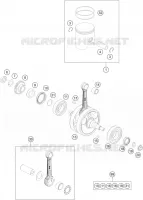 VILEBREQUIN / PISTON