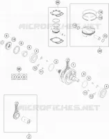 VILEBREQUIN / PISTON