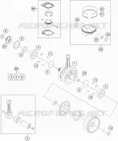 VILEBREQUIN / PISTON