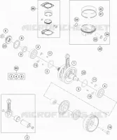 VILEBREQUIN / PISTON
