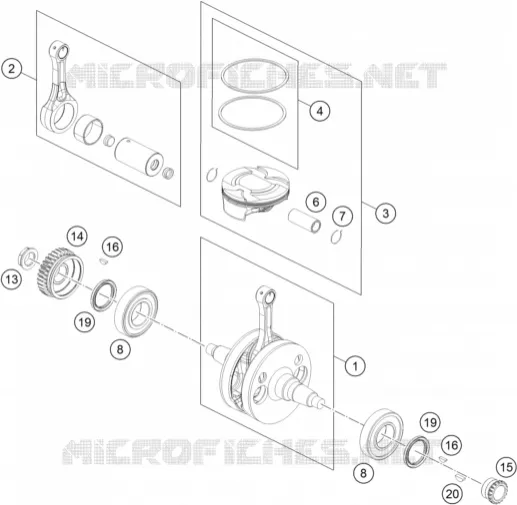 VILEBREQUIN / PISTON