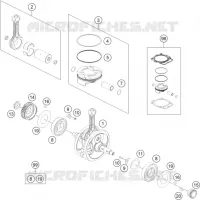 VILEBREQUIN / PISTON