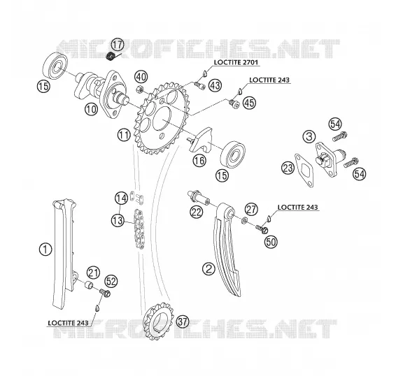 DISTRIBUTION