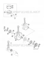 VILEBREQUIN / PISTON