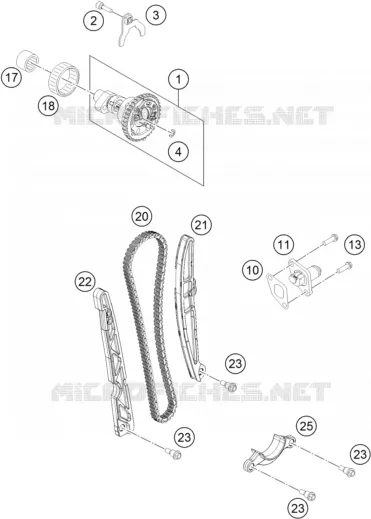 DISTRIBUTION