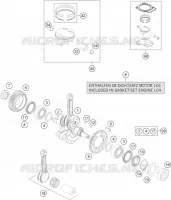 VILEBREQUIN / PISTON