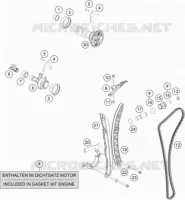 DISTRIBUTION