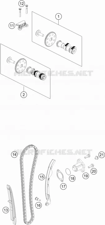 DISTRIBUTION
