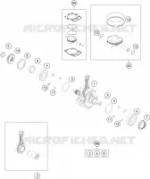 VILEBREQUIN / PISTON