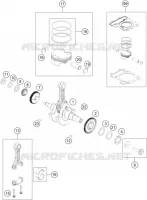 VILEBREQUIN / PISTON