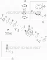 VILEBREQUIN / PISTON
