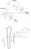 DISTRIBUTION