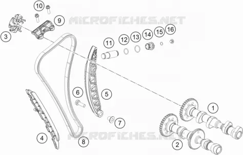 DISTRIBUTION