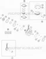 VILEBREQUIN / PISTON