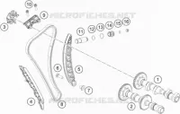 DISTRIBUTION