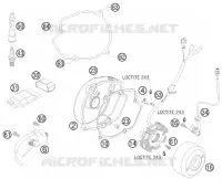 ALLUMAGE pour Husqvarna FS 550 E 2008